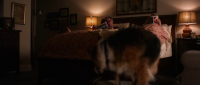 Darling Companion 2012 BRRip XviD MP3-XVID Darling Companion 2012 BRRip XviD MP3-XVID