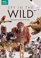 Spy In The Wild S02E01 WEB-DL H264-RBB