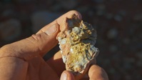 Aussie Gold Hunters S08E10 1080p HEVC x265-MeGusta EZTV