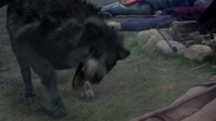 La Brea S02E04 720p HEVC x265-MeGusta EZTV La Brea S02E04 720p HEVC x265-MeGusta EZTV