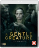 A Gentle Creature 2017 720p BluRay HEVC x265-RMTeam