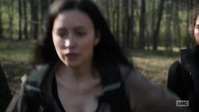 The Walking Dead S11E03 XviD-AFG EZTV