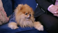 Vanderpump Dogs S01E06 720p WEB h264-KOGi EZTV