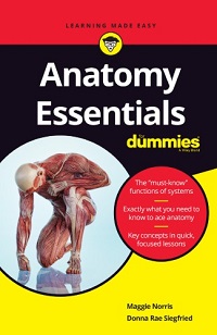 Anatomy Essentials For Dummies Anatomy Essentials For Dummies