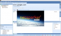 NetSparker Pro 4.9.5