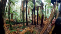 Alone Australia S02E07 XviD-AFG EZTV