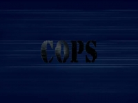 Cops S32E13 480p x264-mSD [eztv]