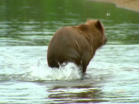 Wild Child S04E03 480p x264-mSD EZTV Wild Child S04E03 480p x264-mSD EZTV