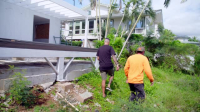 Renovation Aloha S01E02 XviD-AFG EZTV