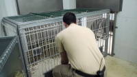 Animal Embassy S01E03 1080p HEVC x265-MeGusta EZTV