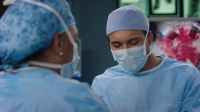 Greys Anatomy S20E08 XviD-AFG EZTV Greys Anatomy S20E08 XviD-AFG EZTV