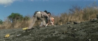 Godzilla vs Megalon (1973) [1080p] [BluRay] [2 0] [YTS] [YIFY]