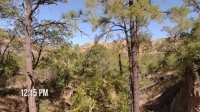Naked and Afraid S12E10 XviD-AFG EZTV Naked and Afraid S12E10 XviD-AFG EZTV