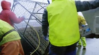 Deadliest Catch S17E08 Tangled Web WEB h264-CAFFEiNE EZTV Deadliest Catch S17E08 Tangled Web WEB h264-CAFFEiNE EZTV