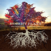 Robert.Plant-Digging.Deep_Subterranea(2020)[FLAC]eNJoY-iT
