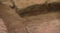 BBC Timewatch Britains Lost Colosseum PDTV XviD MP3 avi[eztv]