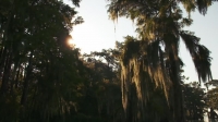 Swamp People S12E01 720p HEVC x265-MeGusta EZTV Swamp People S12E01 720p HEVC x265-MeGusta EZTV
