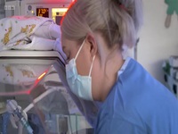 Tiny Lives S02E03 480p x264-mSD EZTV