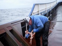 Deadliest Catch S19E08 480p x264-mSD EZTV