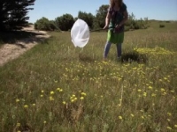 Secret Migrations S01E04 480p x264-mSD [eztv]