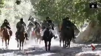 Frontline S40E03 Taliban Takeover XviD-AFG EZTV