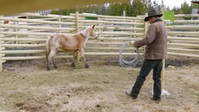 Breaking Wild S01E02 XviD-AFG EZTV