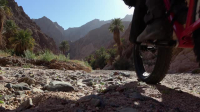 Hidden Frontiers Arabia S02E01 XviD-AFG EZTV Hidden Frontiers Arabia S02E01 XviD-AFG EZTV