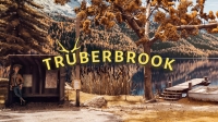 Truberbrook v.1.16 [MULTi] [Unity3D] [GOG] [Linux Native]