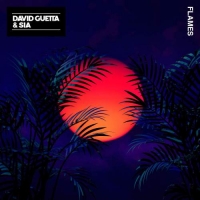 David Guetta & Sia – Flames {Single} Original Mp3 Song 320kbps Quality David Guetta & Sia – Flames {Single} Original Mp3 Song 320kbps Quality