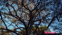 The Traitors AU S01E05 XviD-AFG EZTV