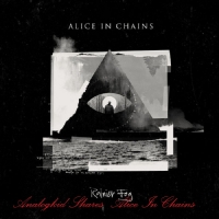 Alice In Chains ‎– Rainier Fog FLACak