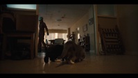 Resident Evil S01E02 PROPER 1080p HEVC x265-MeGusta EZTV