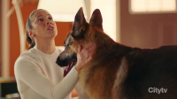 Hudson and Rex S07E05 720p HEVC x265-MeGusta EZTV Hudson and Rex S07E05 720p HEVC x265-MeGusta EZTV