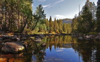 Beautiful Lake Reflection Screensaver