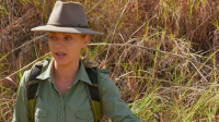 Aussie Gold Hunters S09E05 1080p HEVC x265-MeGusta EZTV