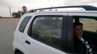 Dog Squad S11E04 720p HEVC x265-MeGusta EZTV Dog Squad S11E04 720p HEVC x265-MeGusta EZTV