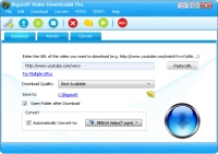 Bigasoft Video Downloader PRO v3.17.2.7018 + key