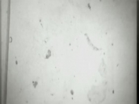 The Innocence Files S01E03 480p x264-mSD [eztv]