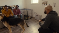 Canine Intervention S01E02 1080p WEB h264-STOUT EZTV