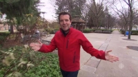 Rick Mercer Report S14E10 HDTV x264-CROOKS[eztv]