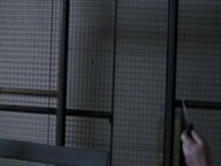 Paranormal Investigators S02E13 Ghost Cops 480p x264-mSD [eztv]
