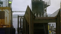Bering Sea Gold S15E02 XviD-AFG EZTV Bering Sea Gold S15E02 XviD-AFG EZTV
