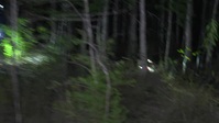 Swamp People Serpent Invasion S03E08 XviD-AFG EZTV
