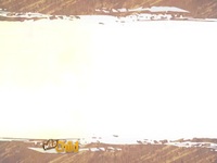 Wild Child S02E23 480p x264-mSD EZTV