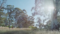 Back To Nature S01E03 XviD-AFG EZTV