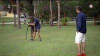 To The Rescue S01E09 XviD-AFG EZTV To The Rescue S01E09 XviD-AFG EZTV