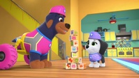 Pupstruction S01E06 1080p WEB h264-DOLORES EZTV