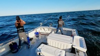 Wicked Tuna S12E08 720p HEVC x265-MeGusta EZTV
