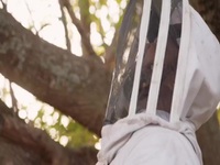 Bee Czar S01E02 Bee the Tree 480p x264-mSD EZTV Bee Czar S01E02 Bee the Tree 480p x264-mSD EZTV