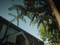 Crime Scene Confidential S01E04 480p x264-mSD EZTV